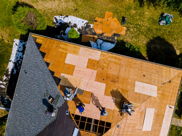 Best Shingle Roofing Installation  in Park Falls, WI