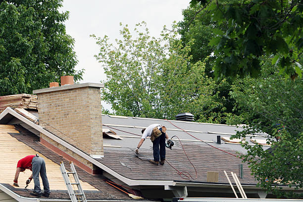 Best Residential Roofing Contractor  in Park Falls, WI