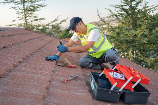 Best Roof Maintenance Services  in Park Falls, WI