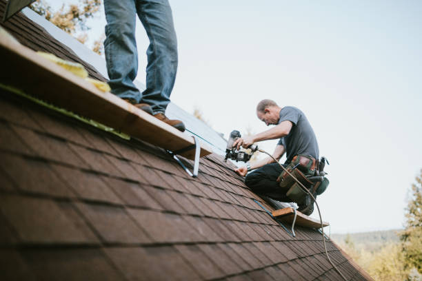 Best Local Roofing Companies  in Park Falls, WI