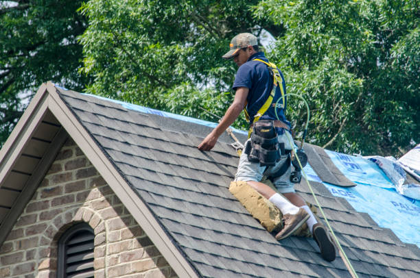 Best Gutter Installation and Roofing  in Park Falls, WI